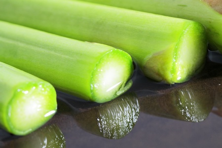 wild asparagus in various situations of their preparation in the kitchen macro imagesの写真素材