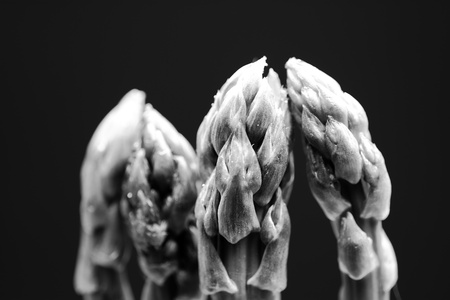 various kinds of food in the kitchen expressing the use of natural resources and ecology along with healthの写真素材