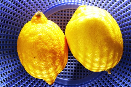 various kinds of food in the kitchen expressing the use of natural resources and ecology along with healthの写真素材