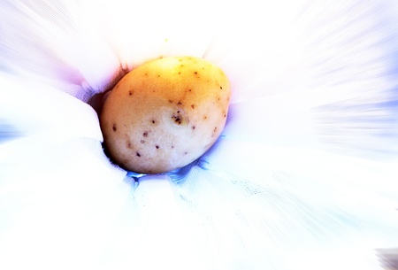 delicatessen natural products and natural ecological environment friendlyの写真素材