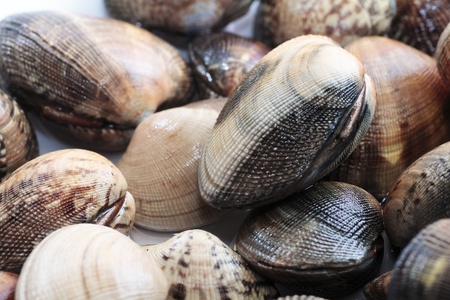scene clams steamed with white wine and bay leavesの写真素材