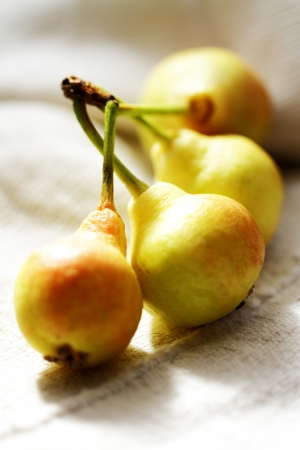 pears scene emphasizing ecological farming color and textureの写真素材