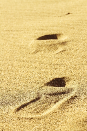 sand severalの写真素材