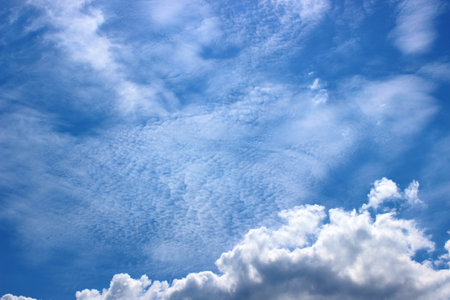 Cirrus clouds with cumulus clouds form an abstraction - a ghost forest.