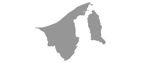 Map Brunei vector background. isolated country textureのイラスト素材