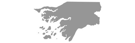 Map Guinea-Bissau vector background. isolated country textureのイラスト素材