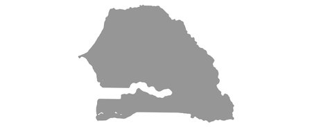 Map Senegal vector background. isolated country textureのイラスト素材