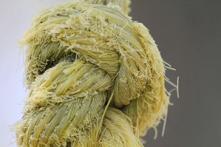 close up of yellow frayed rope tied in a knot against a blurred background