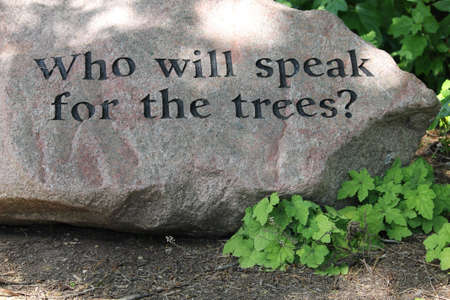 Who will speak for the trees engraving on large rock with green shrubs and bushes aroundのeditorial素材