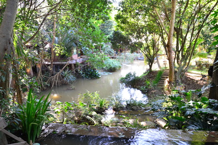 Scenery of  forest with a streamの写真素材