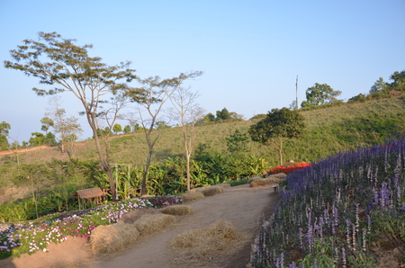 landcape view sky and tree at  Phu Tubberkの写真素材