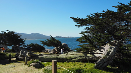 Pebble Beach at  Californiaの写真素材