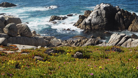 Pebble Beachの写真素材