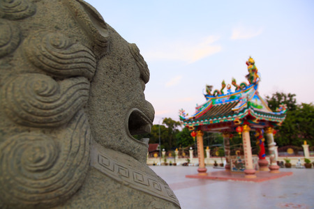 chinese lion statue in front of chinese temple in Thailandの写真素材
