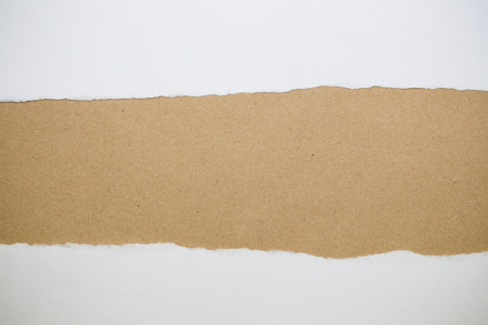 Torn Paper with space for text with brown backgroundの写真素材