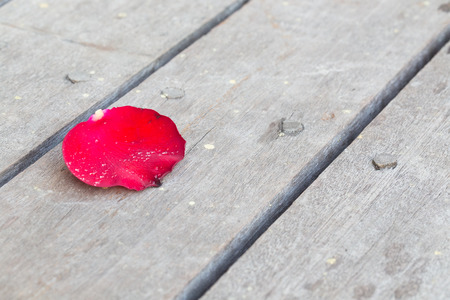 Rose petals on old wood backgroundの写真素材