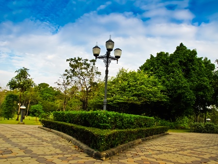 At Rot fai park in Bangkok, Thailandの写真素材