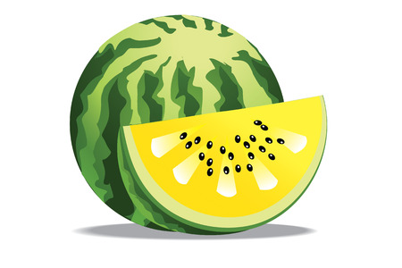 watermelonのイラスト素材
