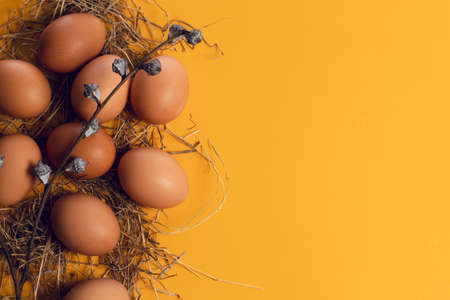 old grass with easter eggs kitchen and dried flower on yellow background in top view