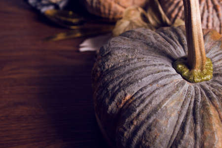happy holiday of thanksgiving festive celebration with pumpkin dinner food decoration on vintage wood table backgroundの写真素材