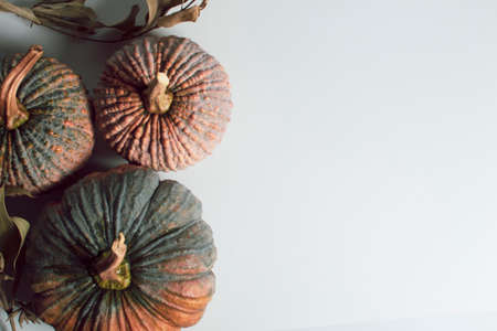 happy holiday of thanksgiving festive celebration with pumpkin dinner food decoration on vintage wood table backgroundの写真素材