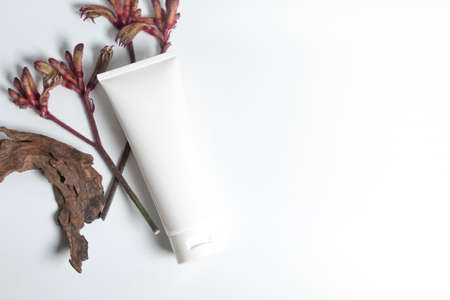 beauty spa medical skincare and cosmetic lotion cream oil bottle packaging on white decor background, healthy and medicine conceptの写真素材