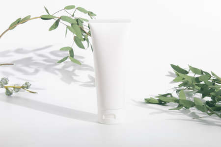 cosmetic lotion cream pakage tube with green natural leaf tree herbal with summer season, beauty spa...