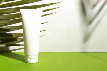 beauty treatment medical skincare and cosmetic lotion cream serum oil mockup bottle packaging...