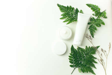 cream cosmetic tube pakage mockup with leaf fern on white backgroundの写真素材