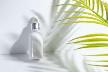 mockup of beauty fashion cosmetic makeup bottle lotion product with skincare healthcare concept on backgroundの写真素材
