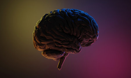 3d rendering illustration of human brain, healthcare of neuron cell, science and researchingの写真素材