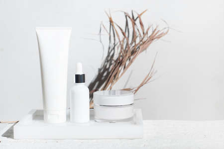 beauty fashion cosmetic makeup bottle lotion cream product with skincare healthcare concept on backgroundの写真素材