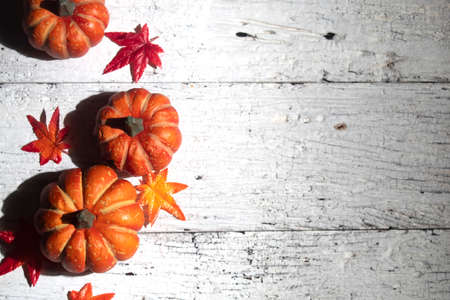 horror spooky funny ghost in halloween on holiday season greeting night celebration party with toy prop decoration and trick or treat autumn october festival and jack-o-lantern conceptの写真素材