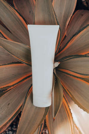 mockup of medical skin care bottle cosmetic tube of beauty makeup facial, treatment cleanser face