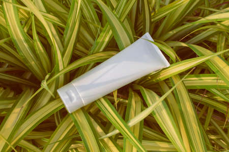 mockup of product medical skin care bottle cosmetic tube of beauty makeup facial, treatment cleanser...