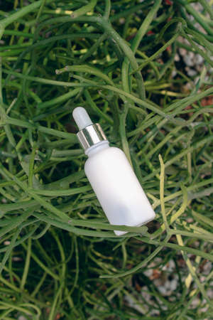 mockup of product medical skin care bottle cosmetic tube of beauty makeup facial, treatment cleanser...