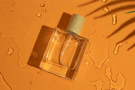 mockup of perfume skin care bottle cosmetic tube of beauty makeup facial, treatment cleanser face foam, beauty healthcare branding packaging in water splashの写真素材