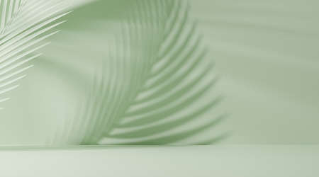 stage podium pedestal with shadow of summer palm leaf tree coconut for cosmetic product showcase, 3d...