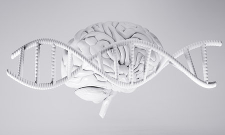 3d brain of human healthcare illustration rendering, health of neuron cell, think of idea on...