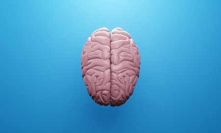 3d brain of human healthcare illustration rendering, heal3d brain of human healthcare illustration...