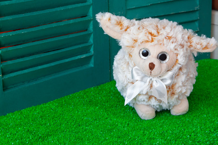 baby sheep doll on green grass  and window  backgroundsの写真素材