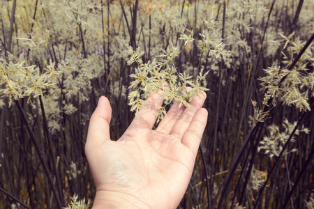 Vintage hand holding are flowers