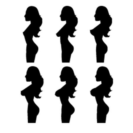 Group of woman breast size,silhouette shape, vector illustrations.のイラスト素材
