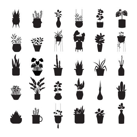 Set of silhouette house plants series.Potted Plants Collection. hand drawn,decor,tree,Vector illustrations.のイラスト素材