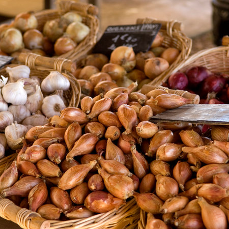 Onions on a market in the south of Franceの写真素材
