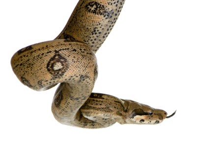  in front of a white background
