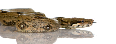  in front of a white background