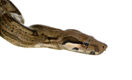  in front of a white background