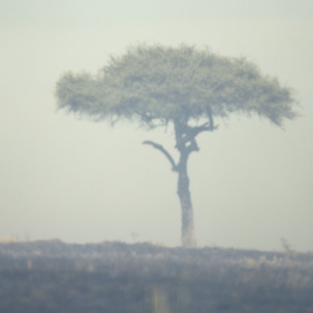 Fire at Masai mara Kenyaの写真素材
