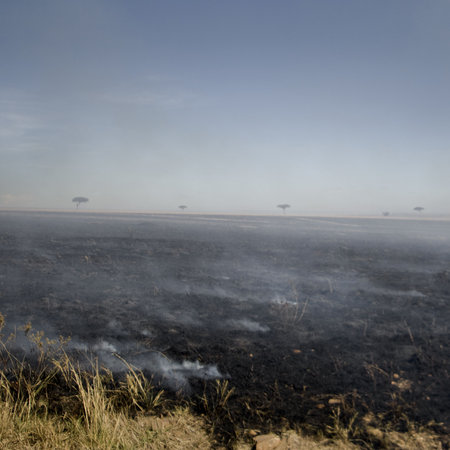 Fire at Masai mara Kenyaの写真素材